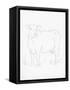Canvas Black