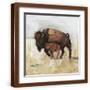 Brown Frame