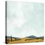 Stretched Canvas