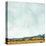 Stretched Canvas