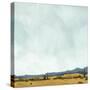 Stretched Canvas