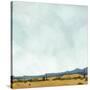 Stretched Canvas