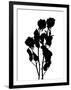 Gramercy Black