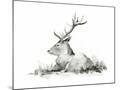 Wood Mount