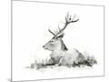 Wood Mount