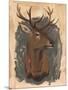 Wood Mount