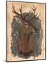 Wood Mount