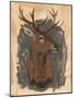 Wood Mount