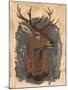 Wood Mount