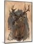 Wood Mount