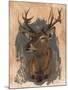 Wood Mount