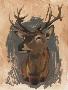 Laminate