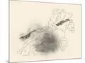 Wood Mount