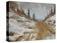 Stretched Canvas