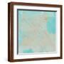 Brown Frame
