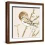 Brown Frame