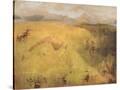 Stretched Canvas
