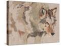 Stretched Canvas