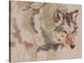 Stretched Canvas