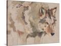 Stretched Canvas