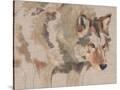 Stretched Canvas
