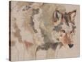 Stretched Canvas
