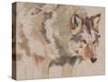 Stretched Canvas