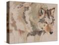 Stretched Canvas