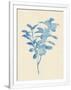 Gramercy White
