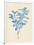 Gramercy White