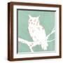 Brown Frame