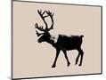 Wood Mount