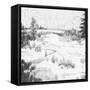 Canvas Black