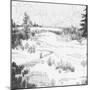 Wood Mount