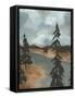Canvas Black