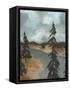 Canvas Black