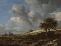 Landscape with Waterfall-Jacob Isaacksz Van Ruisdael-Art Print