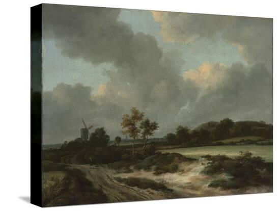 Stretched Canvas Print, , large