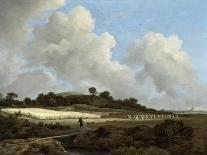 Cornfield, 1660-Jacob Isaaksz or Isaacksz van Ruisdael-Giclee Print