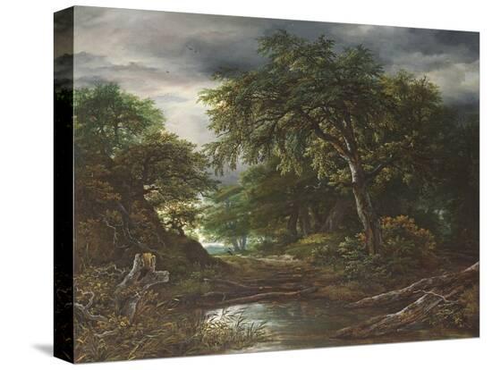 Stretched Canvas Print, , large