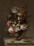 Two Tulips, a shell and a grasshopper, 1637-45-Jacob Marrel-Giclee Print