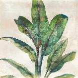 Banana Leaf I-Jacob Q-Art Print