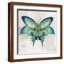 Brown Frame