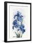 Black Frame