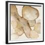 Chelsea Black