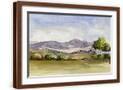 Brown Frame
