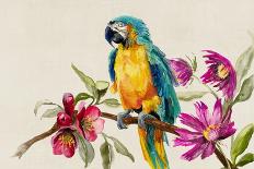 Parrot on Branch-Jacob Q Pearce-Art Print