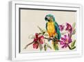 White Frame