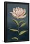 Essential Black