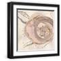 Chelsea Black